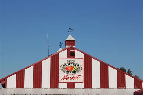 Visit The Sauvie Island Pumpkin Patch In Oregon