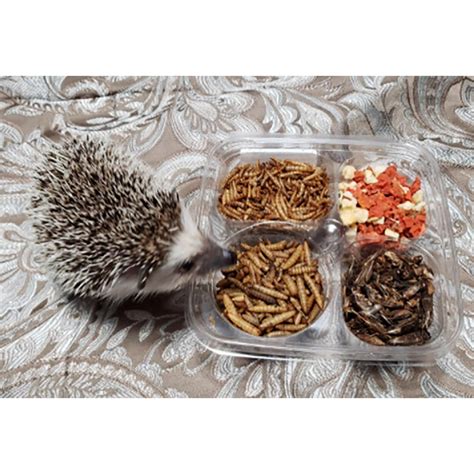 Hedgehog Treat Variety Pack Healthy & Unique Treat - Etsy