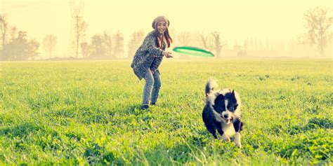 Giochi Per Cani Quali Sono Wamiz