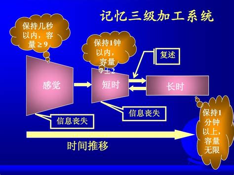 普通心理学 记忆 第三讲 Word文档在线阅读与下载 文档网