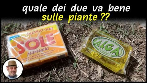 Sapone Molle Di Potassio Scopri La Scheda Tecnica E Le Propriet