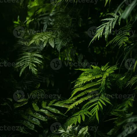 tropical plants in the jungle generative ai 32129139 Stock Photo at ...