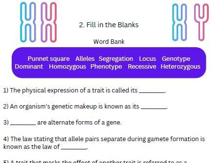 genetics  heredity worksheet teaching resources