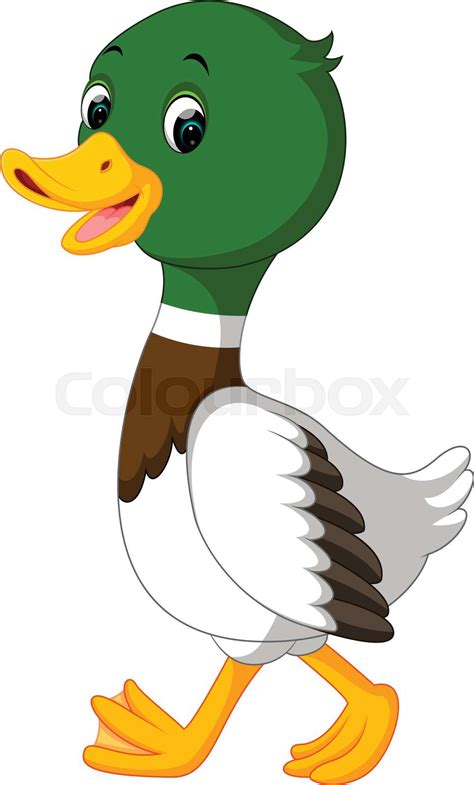 Ente Cartoon Vektor Stock Vektor Colourbox