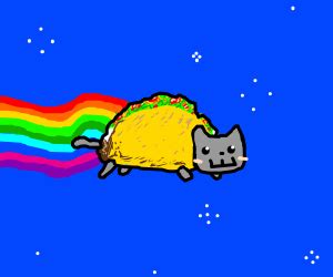 Taco Cat is now Nyan Cat - Drawception