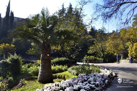 Tbilisi Botanical Garden Georgian Travel Guide