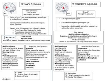 Broca S Vs Wernicke S Aphasia Cheat Sheet By Saraspeech Tpt