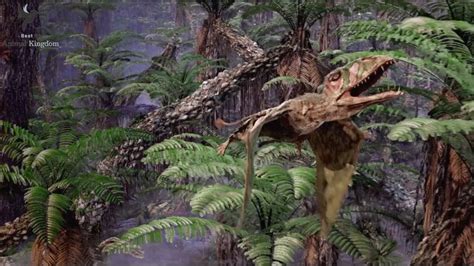 Dimorphodon Most Terrifying Ancestor Of Pterosaur Flying Monsters 3d