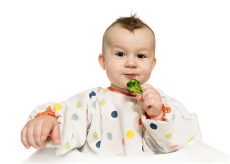 O Que Blw Baby Led Weaning Como Funciona Ben Fico Descubra As