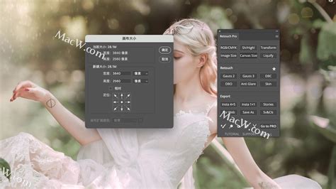 photoshop磨皮插件Retouch Pro Pro Retouch Panel for Mac ps人物磨皮美容插件 支持ps2022