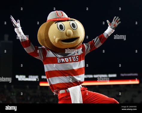 File In This Nov 7 2015 File Photo Ohio State Mascot Brutus