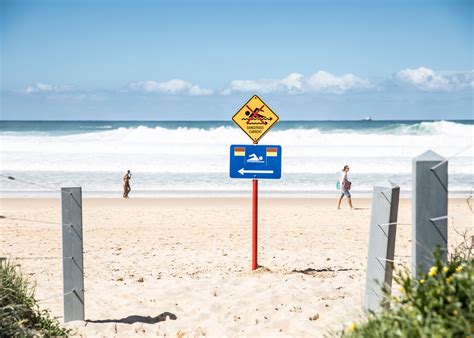 Our Clubs — Surf Life Saving Sunshine Coast Branch