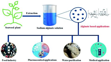 Recent Developments In Alginate Based Adsorbents For Removing Phosphate