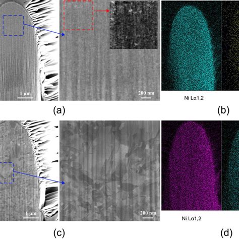 Fib Sem Cross Sections Of The Pillars And Distribution Of Alloy