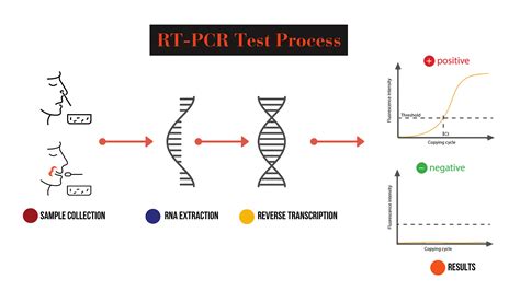 Decoding Rt Pcr Report And Its Complicated Nomenclature