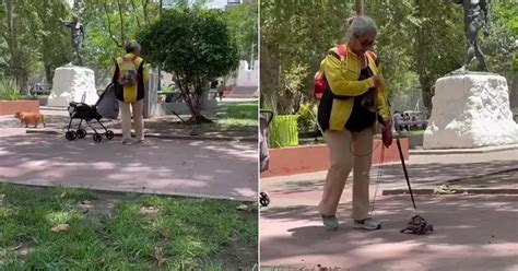 Video El video más tierno grabó a una mujer que paseaba a su tortuga