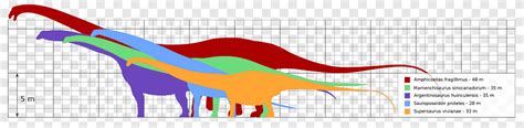 Dinosaur size Argentinosaurus Supersaurus Sauroposeidon Mamenchisaurus ...