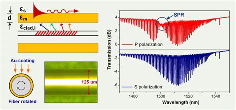 Schematic Diagram And Photograph Of Gold Coated Plasmonic Tfbg And Its