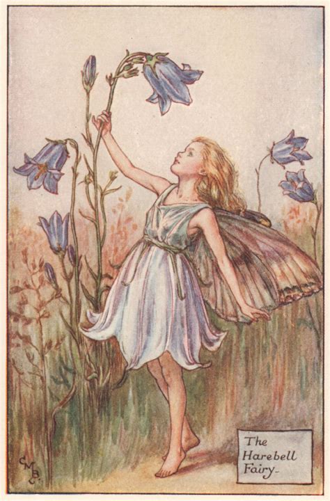 Forget Me Not Fairy By Cicely Mary Barker Summer Flower Fairies C1935