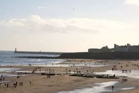 Megan Fox Sizzles In Nearly Naked Sports Illustrated Shoot As She Dons Seashell Swimwear Daily