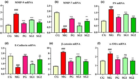 The Ameliorative Impact Of Str On The Mrna Expression Of A Mmp‐9 B