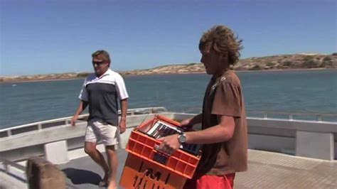 How To Catch Crayfish In Kalbarri Western Australia Youtube