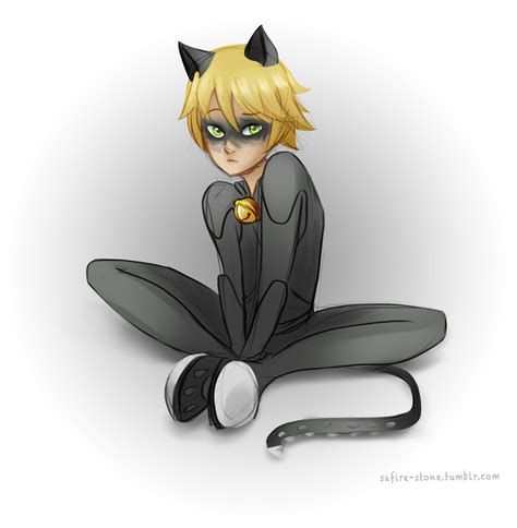 Miraculous Ladybug Chat Noir Fan Art