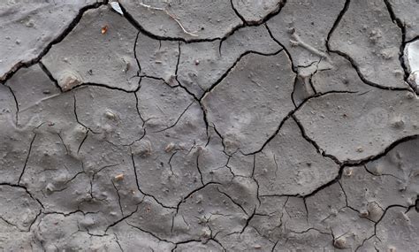 Detailed look at the forty acre club facilities and hunting grounds 17