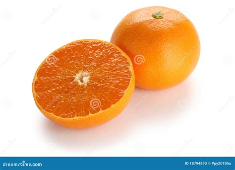 Setoka Orange Japanese High Quality Citrus Fruit Stock Photo Image