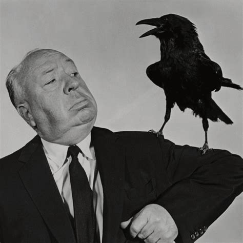 sustain  scarecrow scarecrow video