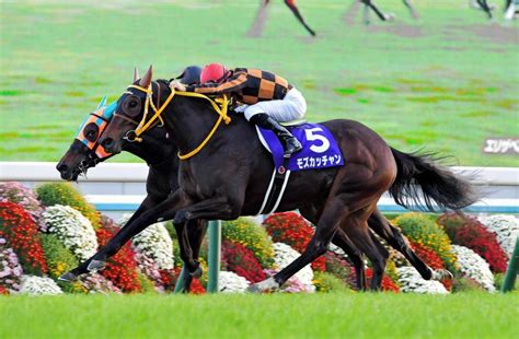 【エ女王杯】モズカッチャンが3度目のg1で初v またミルコが魅せたレース連覇！ 競馬・レース デイリースポーツ Online