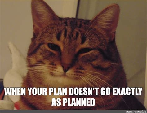 Meme WHEN YOUR PLAN DOESN T GO EXACTLY AS PLANNED All Templates