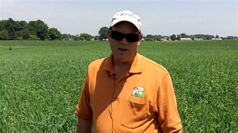 Using Oats As A Nurse Crop Starting Alfalfa Youtube