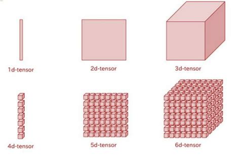 Compare Two Torch Tensors have the Same Shape or not - PyTorch Tutorial