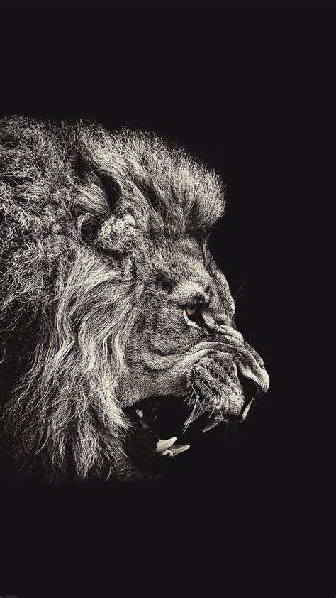 Free Download Phone Wallpaper Black And White Lion Iphone Wallpaper