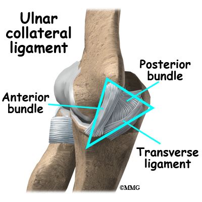 Patient Education Concord Orthopaedics