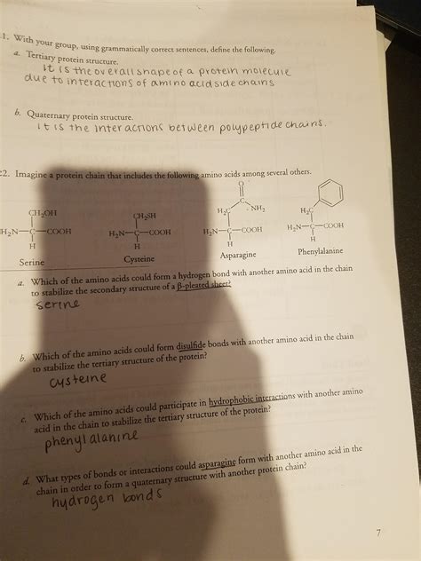 Protein Structure Pogil Answer Key Ap Biology Gustavogargiulo Free