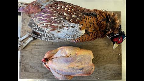 How To Oven Ready A Pheasant Youtube