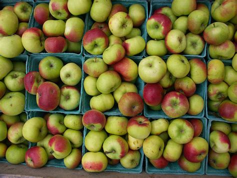 Lady Apples Photograph by Bonnie Sue Rauch - Pixels