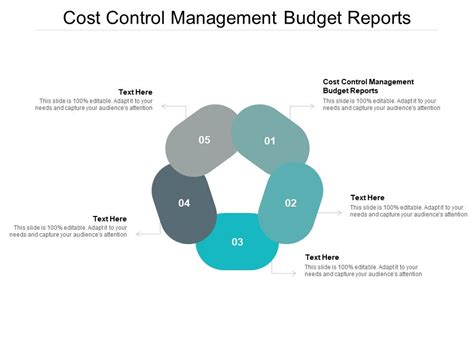 Cost Control Management Budget Reports Ppt Powerpoint Presentation