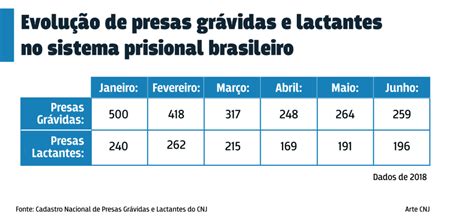 Procedimentos Relativos A Presas Gr Vidas E Lactantes Devem Ser