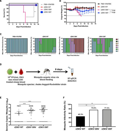 A Aegypti Mosquitoes Thermo Fisher Bioz