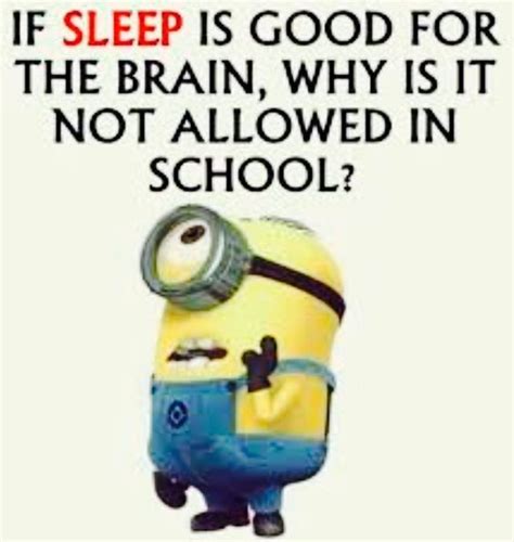 Minion School Memes