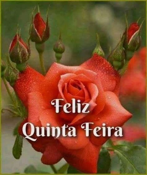 Belas Imagens Feliz Quinta Feira Amor ImagensBomDia Net