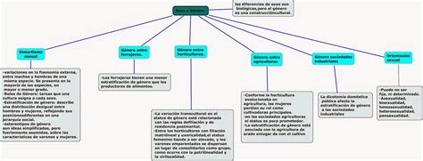 Diferencias Entre Mapa Conceptual Y Mapa Mental Porn Sex Picture