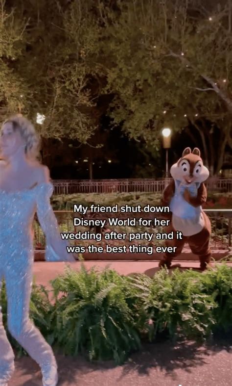 Entire Disney Park Closes Due To One Guest S Afterparty