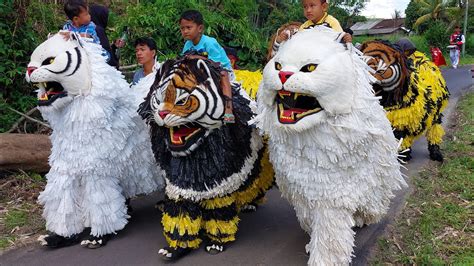 Live Kirab Can Macanan Singo Manggala Dan Drumband Maong Remas Di