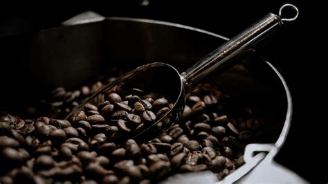 Roasted Coffee Beans Suppliers Sumatra Coffee Supplier