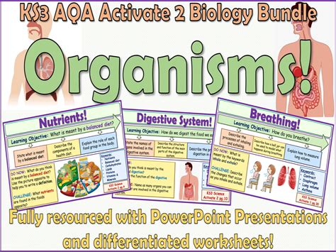 Organisms Aqa Activate 2 Ks3 Science Bundle Teaching Resources