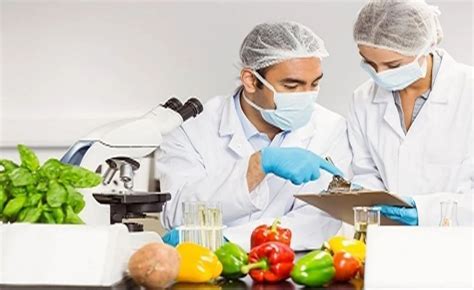 Microbiological Testing Services Food Pharma Testing Service